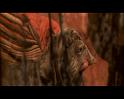 PDVD_2740