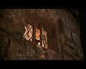 PDVD_2753