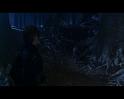 PDVD_2769