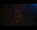PDVD_2775