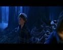 PDVD_2780