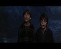 PDVD_2805