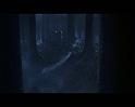PDVD_2896