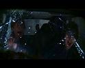 PDVD_2933