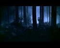 PDVD_2938