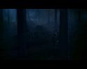 PDVD_2944