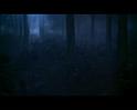 PDVD_2945
