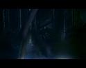 PDVD_2952