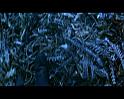 PDVD_3208