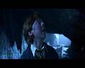 PDVD_3252