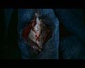 PDVD_3593
