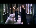 PDVD_3753