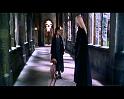 PDVD_3754