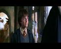 PDVD_3758