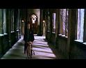 PDVD_3793