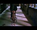 PDVD_3795