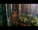 PDVD_756