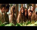 PDVD_766