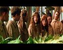 PDVD_768