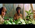 PDVD_793