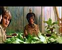 PDVD_794