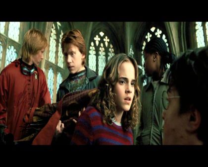PDVD_1203.jpg