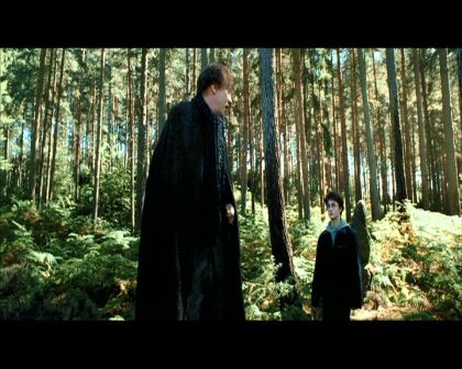 PDVD_1222.jpg