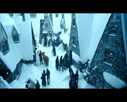 PDVD_1390.jpg
