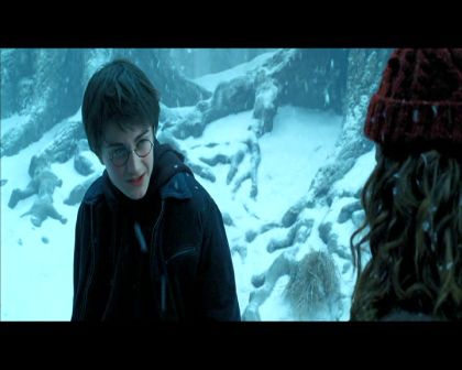 PDVD_1408.jpg