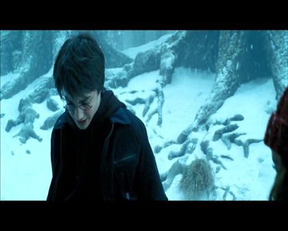 PDVD_1410.jpg