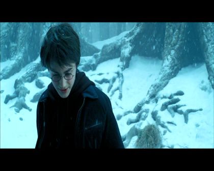 PDVD_1411.jpg