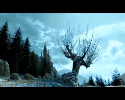 PDVD_1418.jpg