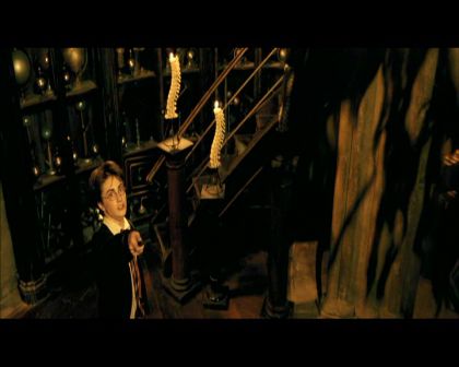 PDVD_1446.jpg