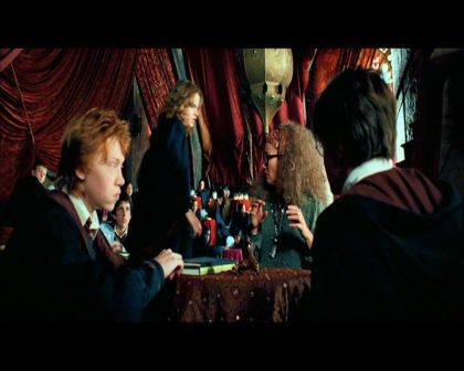 PDVD_1670.jpg