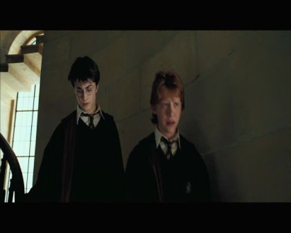 PDVD_1678.jpg