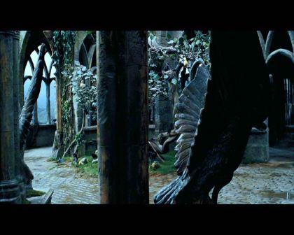 PDVD_1726.jpg