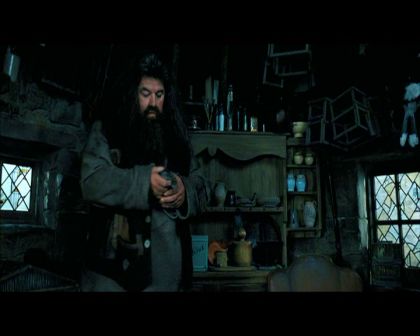 PDVD_1775.jpg