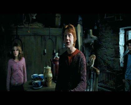 PDVD_1777.jpg