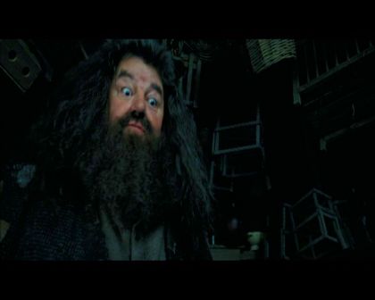 PDVD_1779.jpg