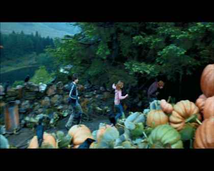 PDVD_1810.jpg