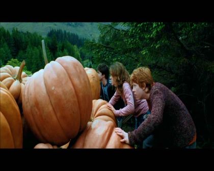 PDVD_1812.jpg