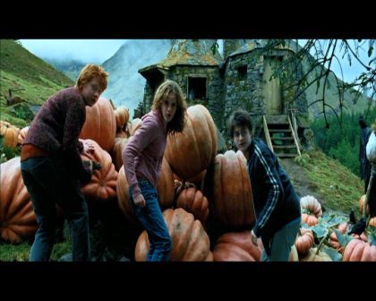 PDVD_1818.jpg