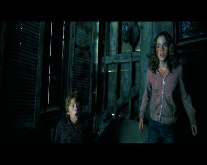 PDVD_2043.jpg