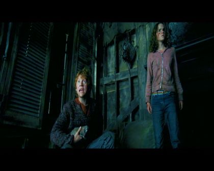 PDVD_2066.jpg
