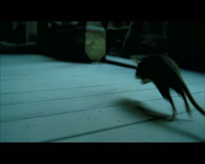 PDVD_2088.jpg