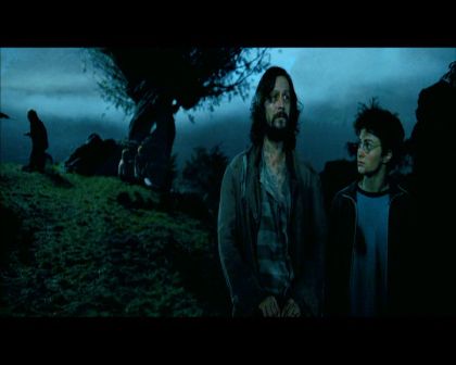 PDVD_2173.jpg
