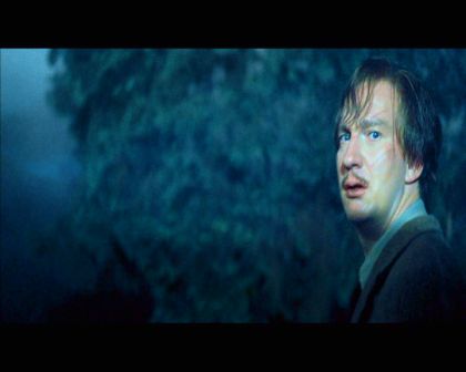 PDVD_2181.jpg