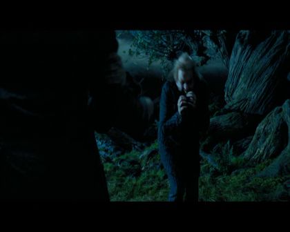 PDVD_2187.jpg
