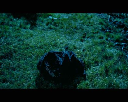 PDVD_2200.jpg