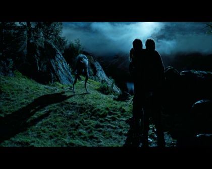 PDVD_2214.jpg